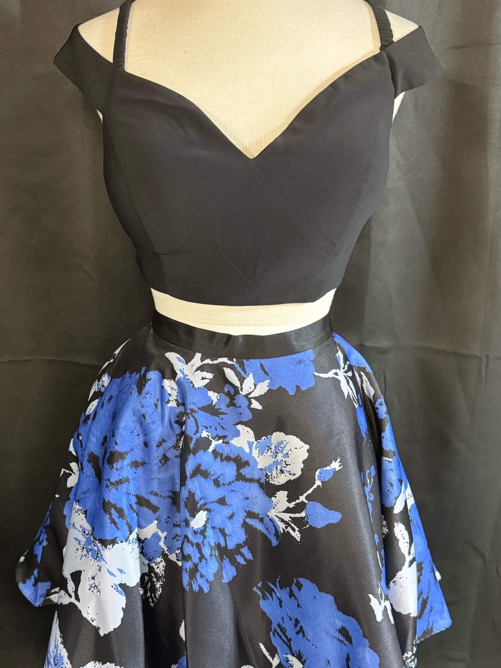 Black & Blue Floral Fit-and-Flare Dress